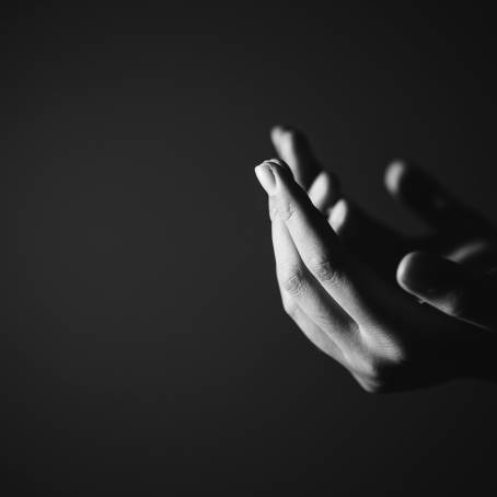 Silent Strength Praying Hands