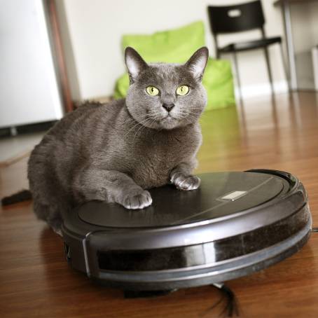 Revolutionizing Home Cleaning Robotic Vacuum Overview