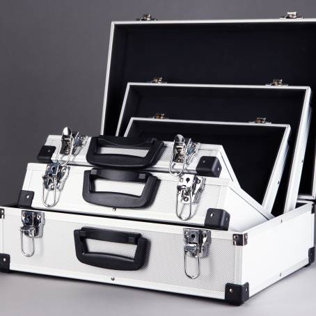 Silvery Suitcase The Ultimate Travel Accessory